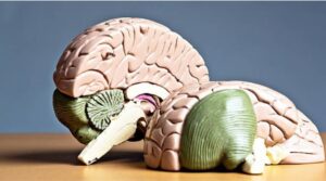 Neurological Disorders