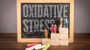 Oxidative stress