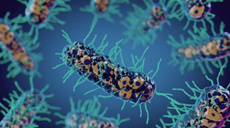 Scopri di più sull'articolo Exploitation of DarT/DarG biology for a rational design of antimicrobial agents