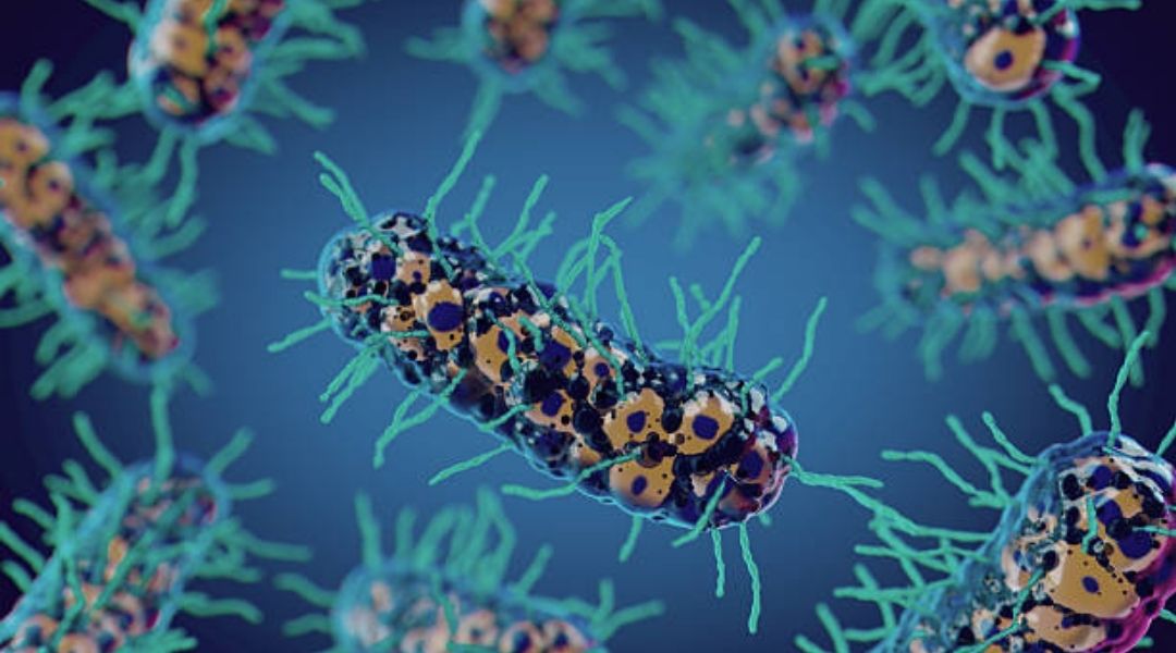antimicrobial agents